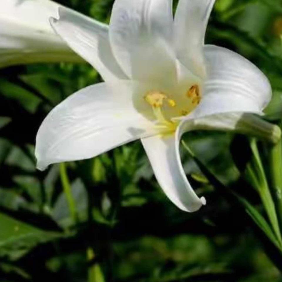 贵而不显，花而不炫