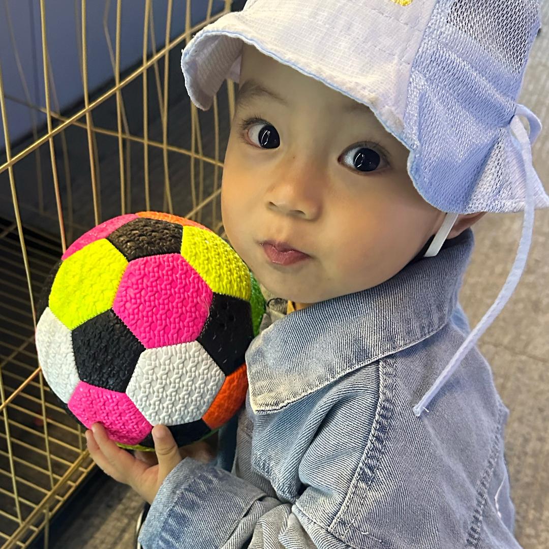 买地瓜的小兔子🐰