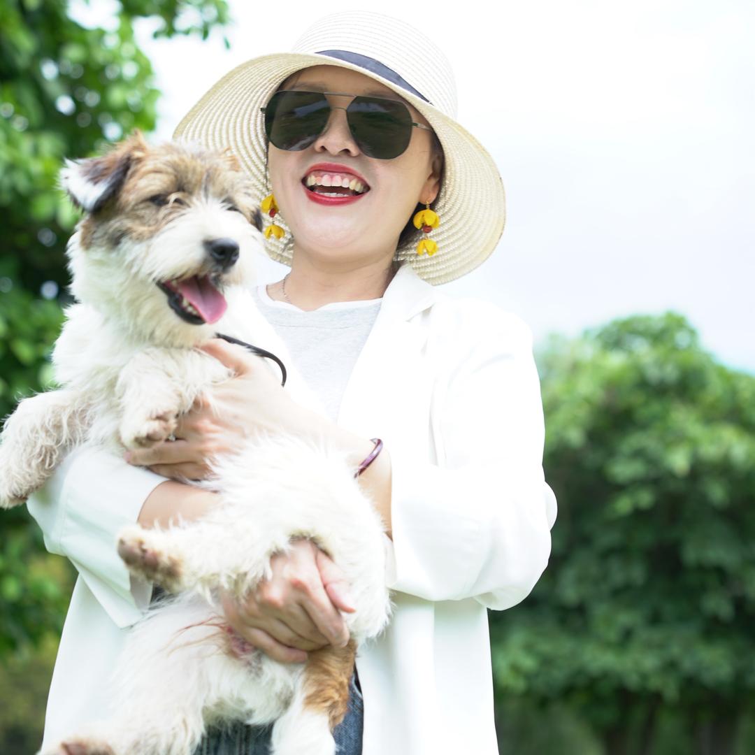 大理古城刚毛杰克罗素梗小云姐姐