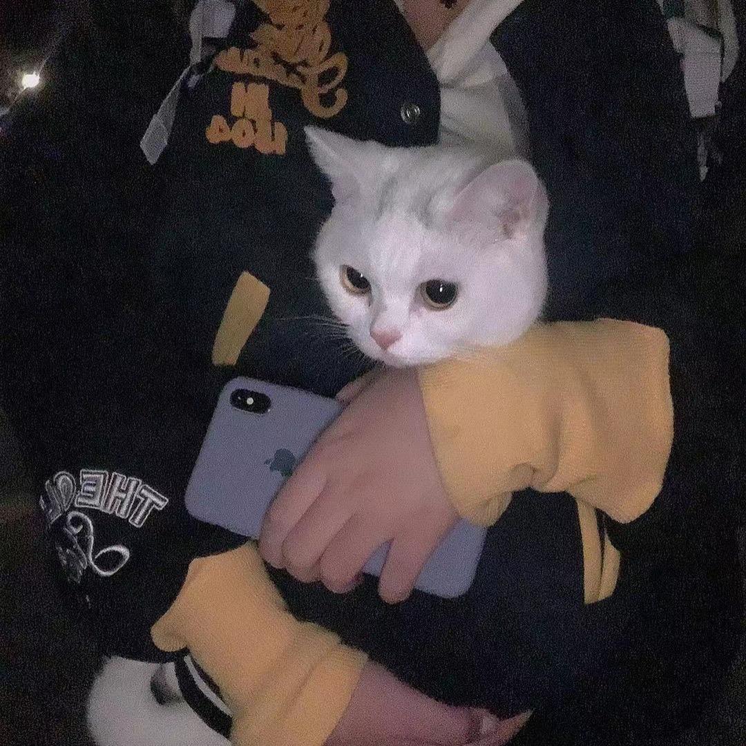 芝芝帆帆✨