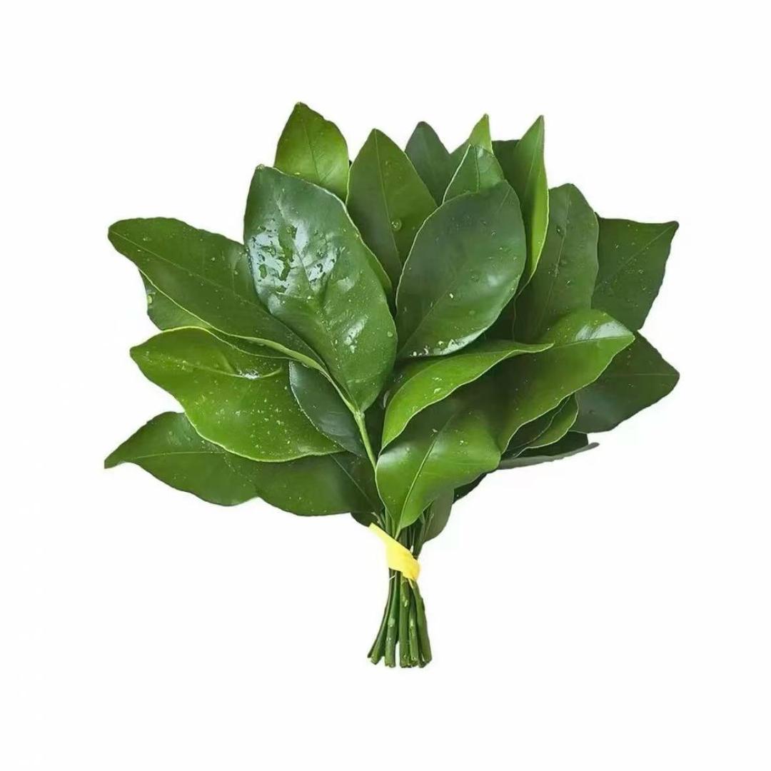 ☘️