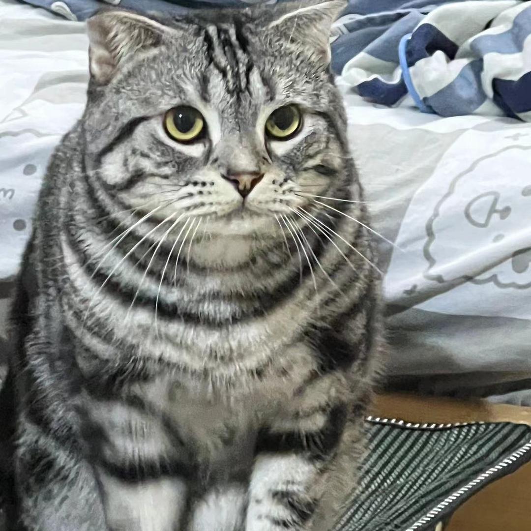 郭源潮