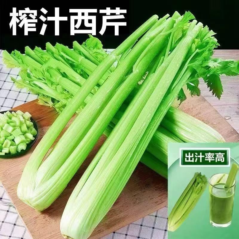 垚鑫臻选