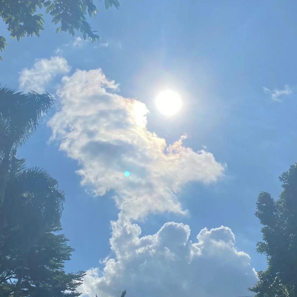虾鲜生甄选