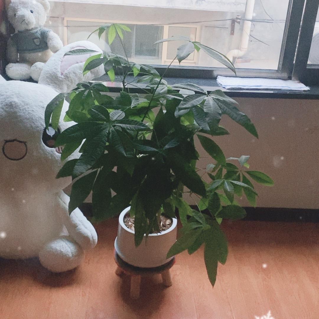 招财纳福