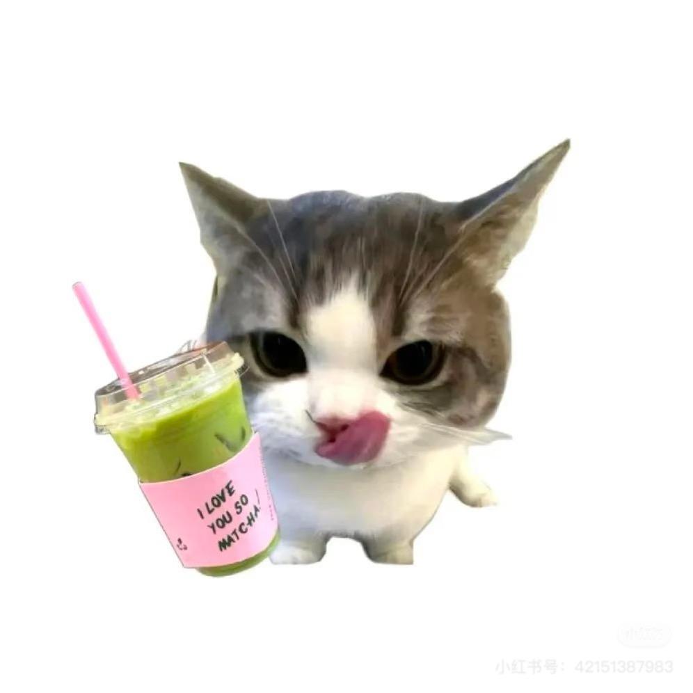 荔知