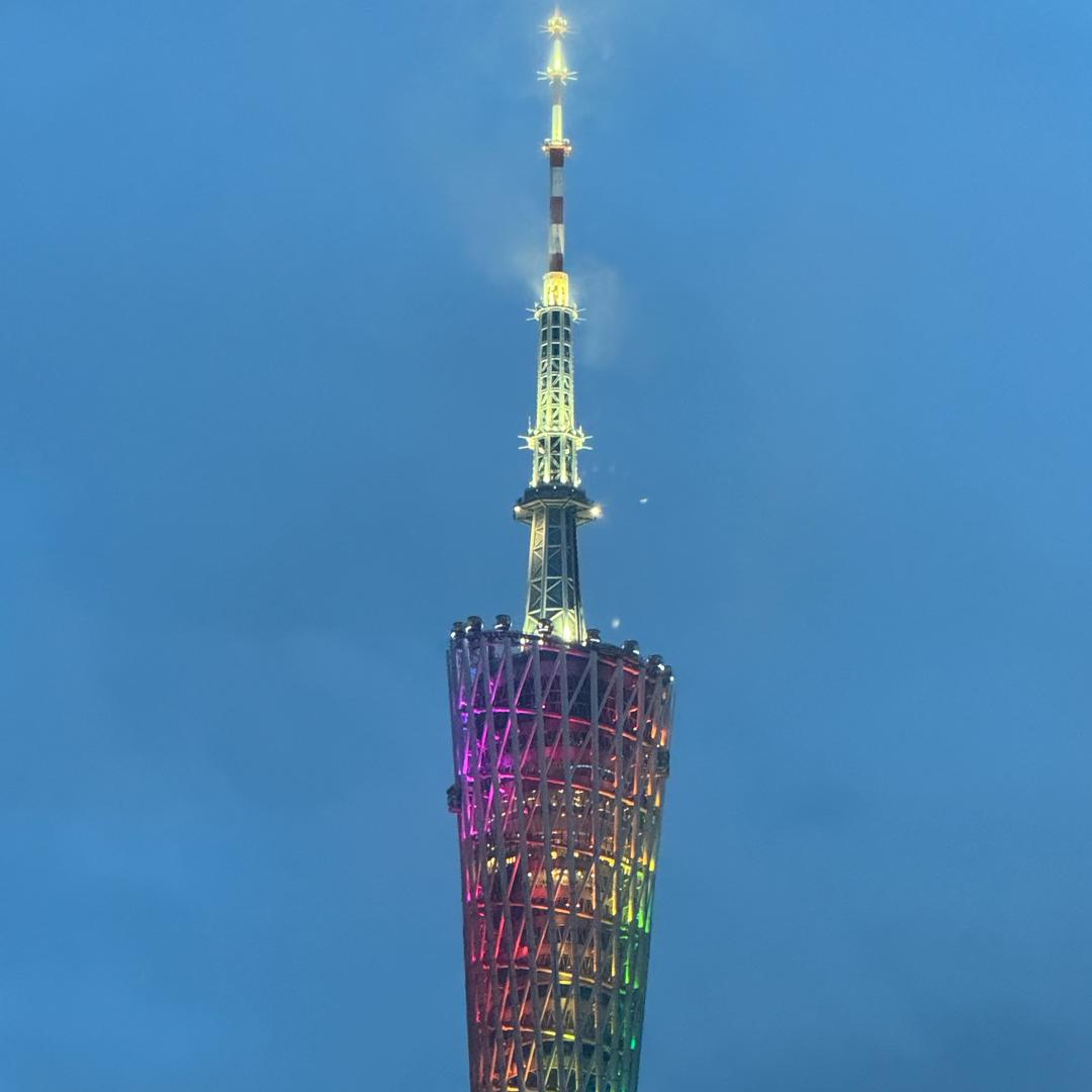 向阳而欢