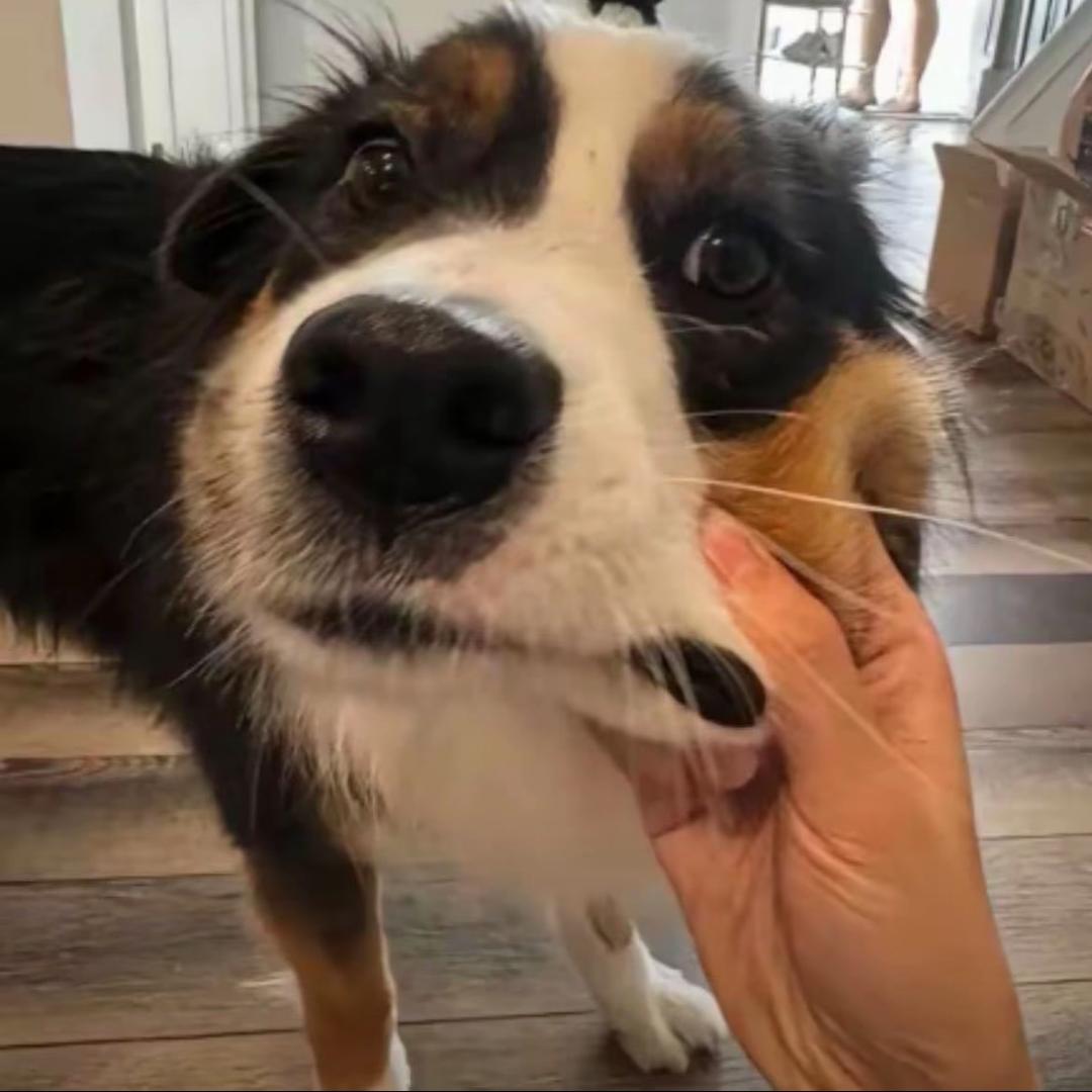 江苏省最后一个读书人