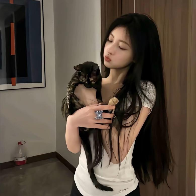 CleVerCatt