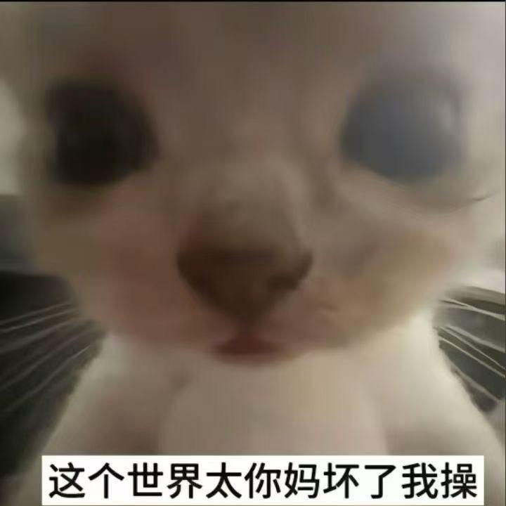 内鬼