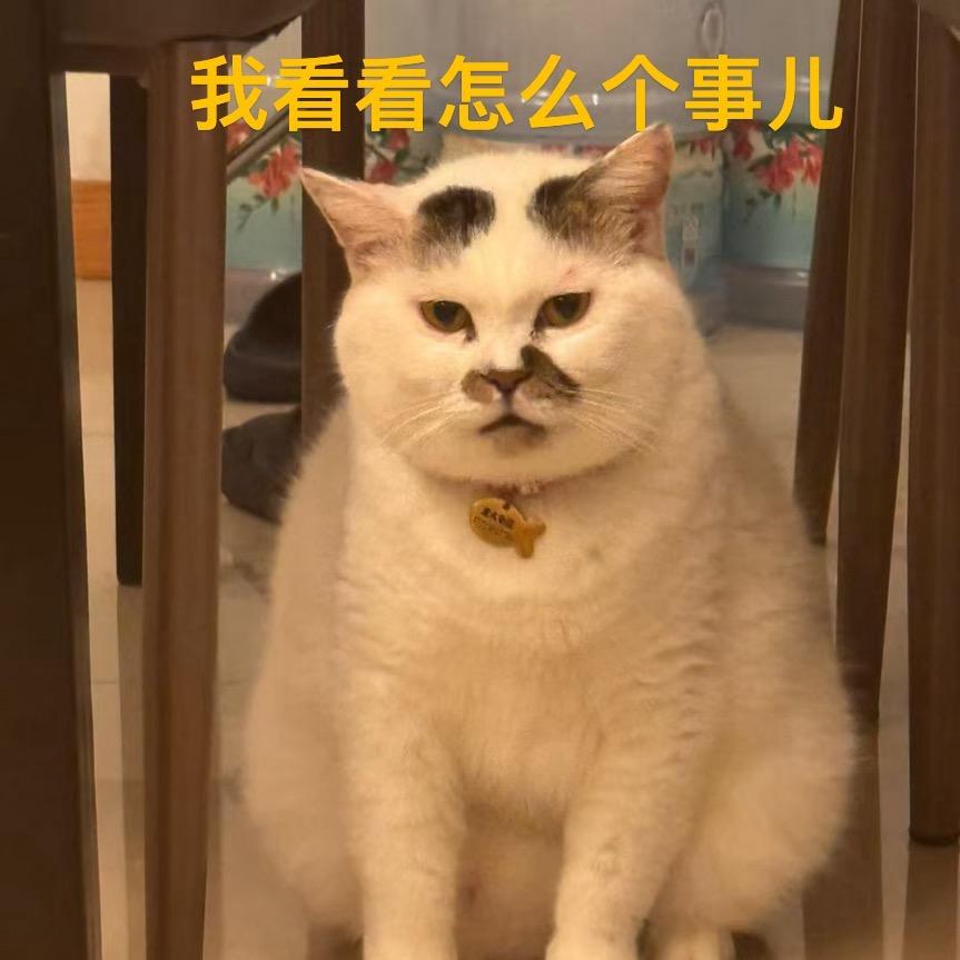 张雪机车-尹中意