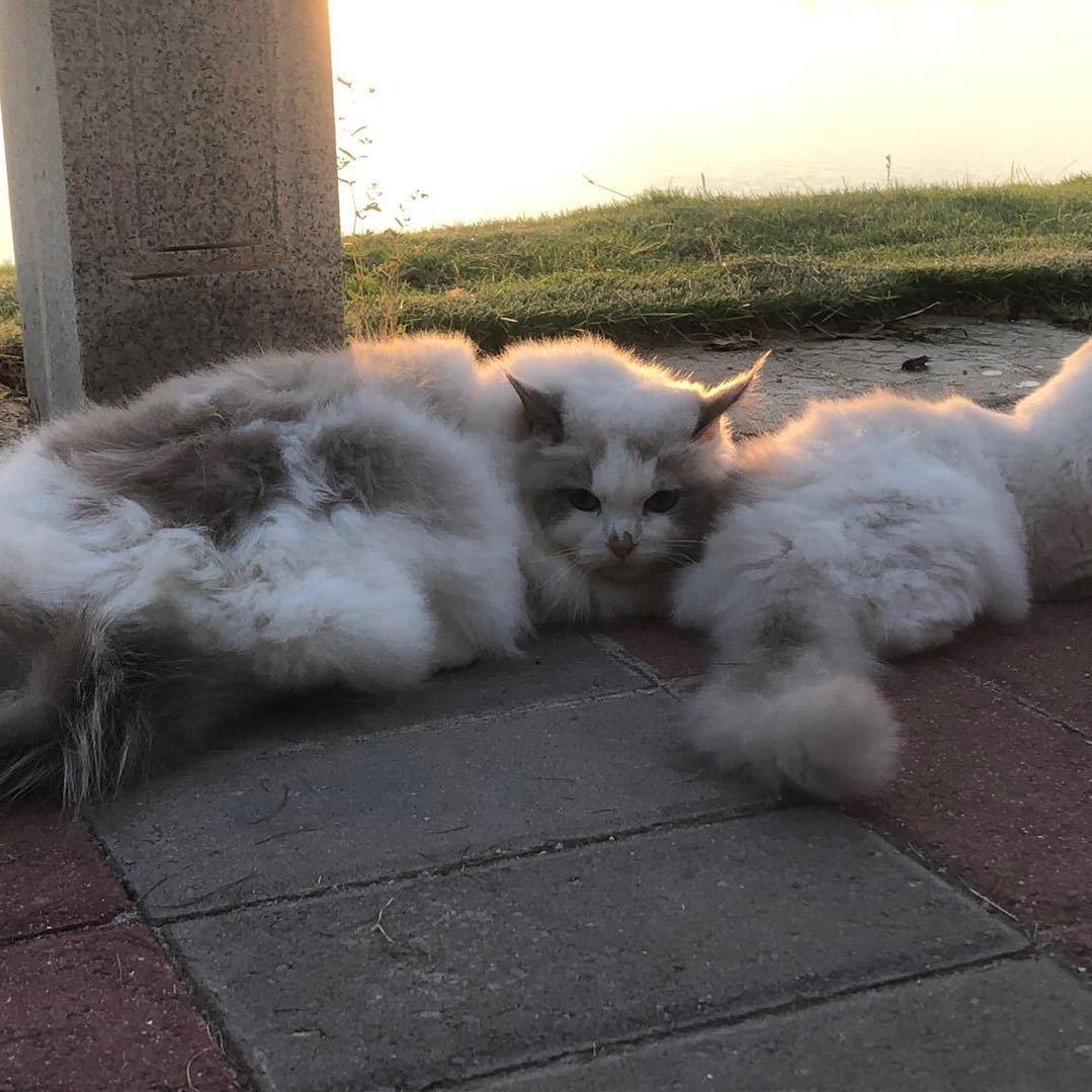 温暖的阳光