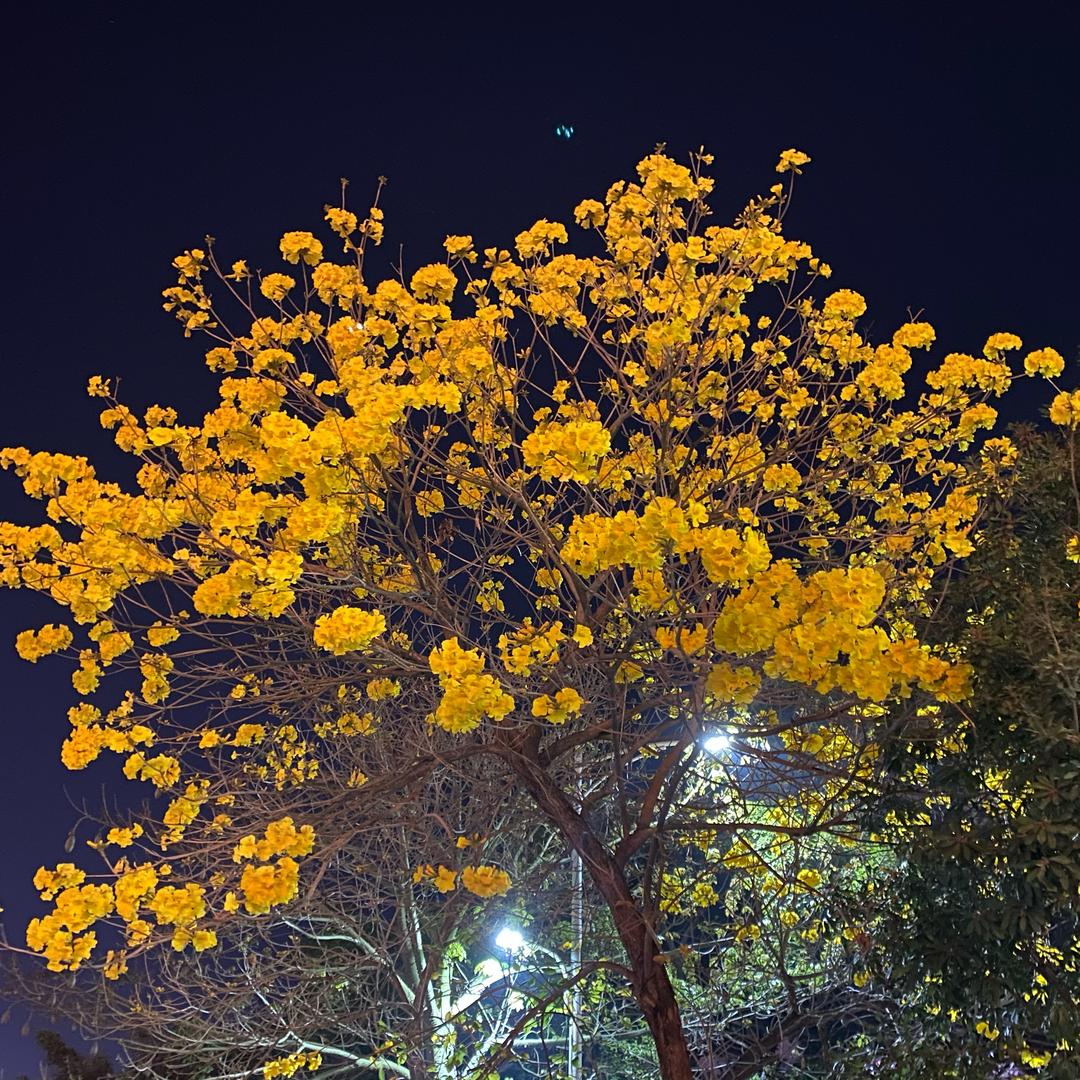 浩（拒绝私聊）