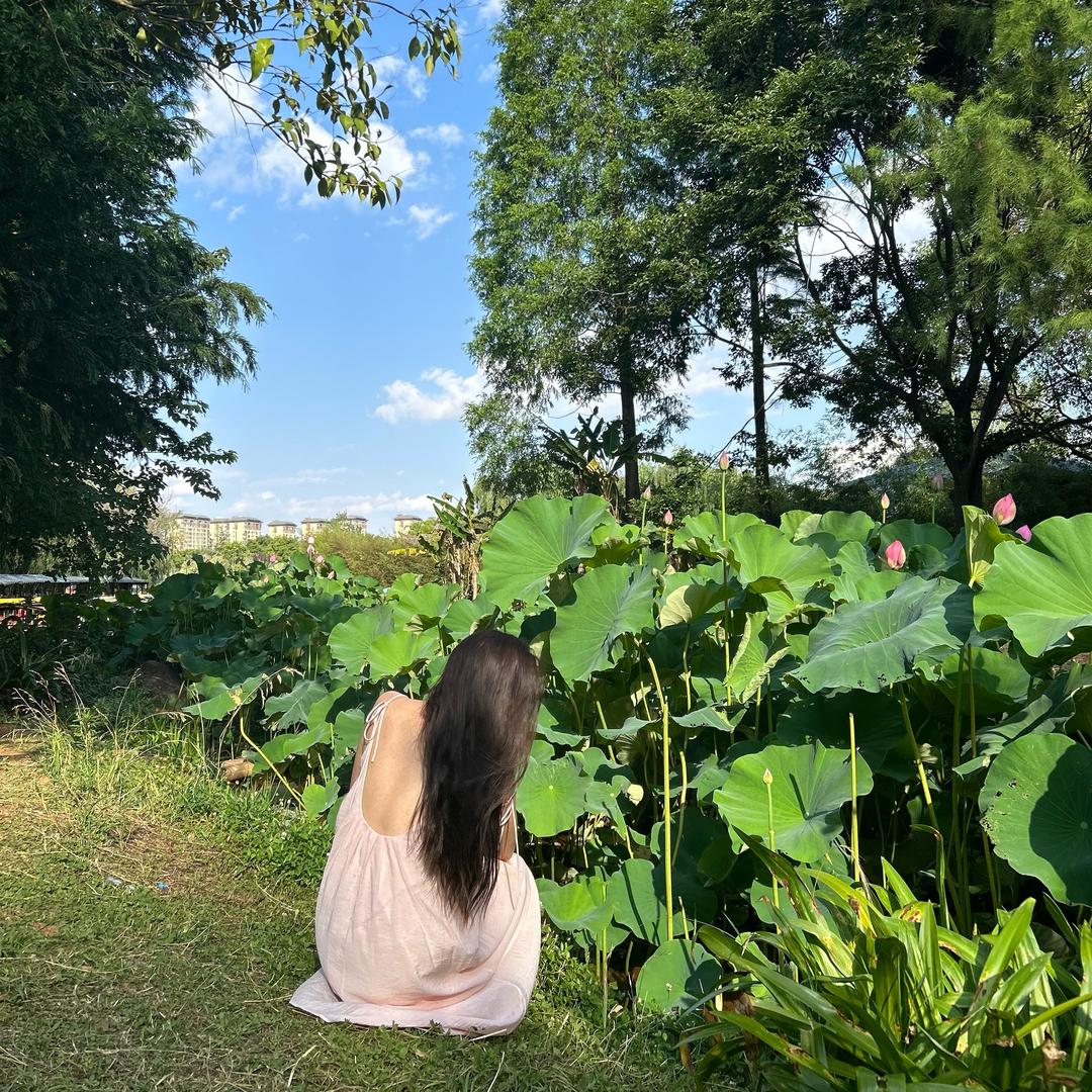 不眠的思念