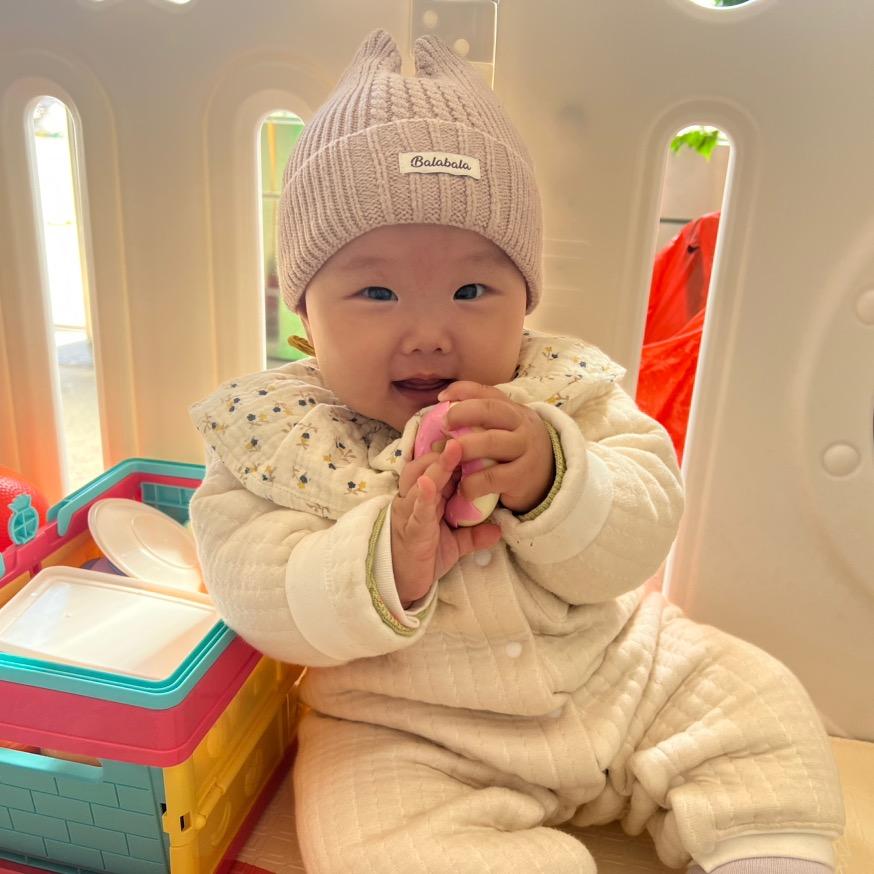 lemon一只柠檬🍋崽（一周岁）