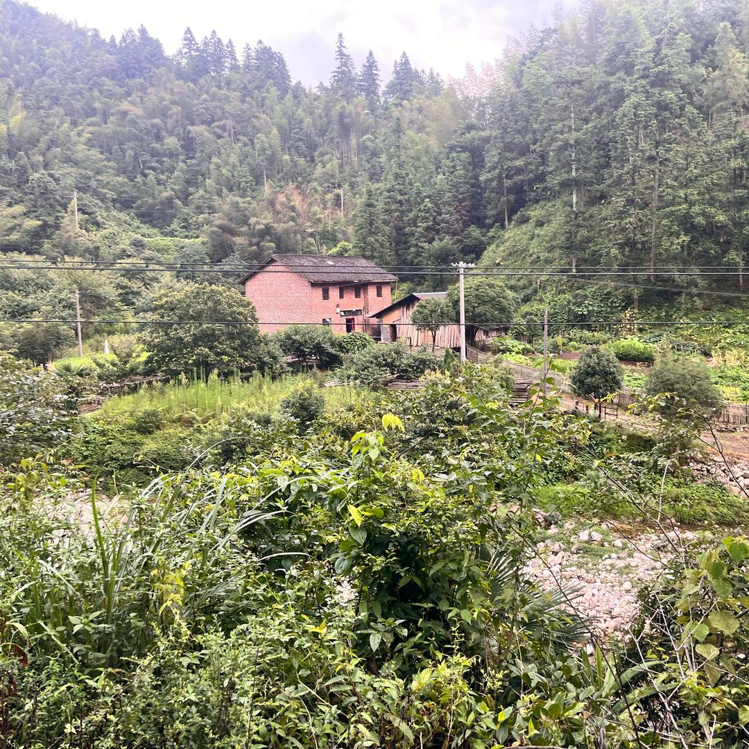 百事可罗