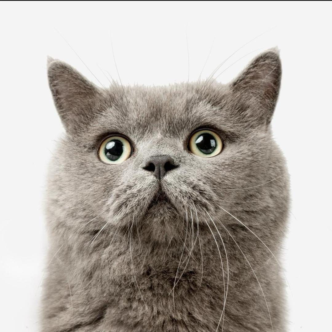 怀集郑中基怀城分基、