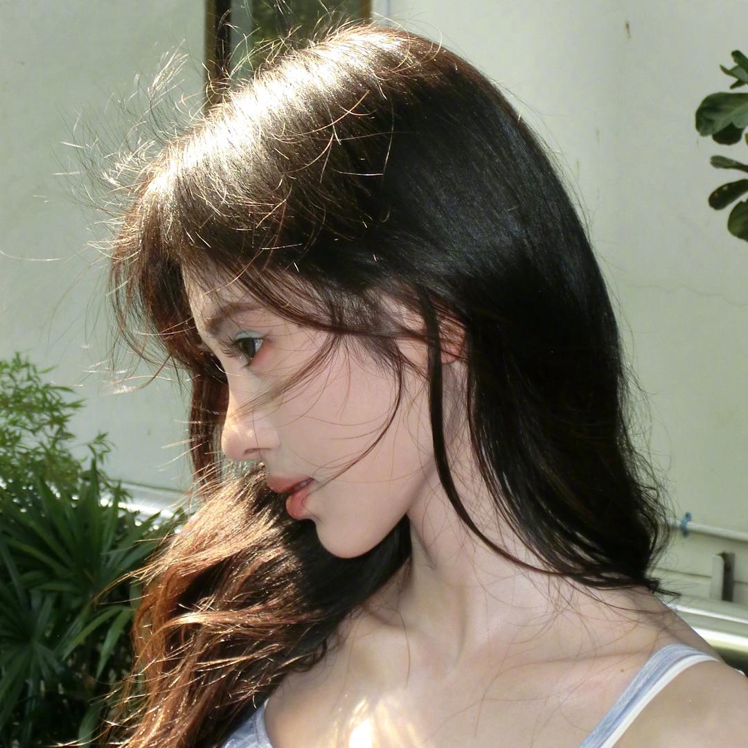 berber乱蹦的大狸子猫