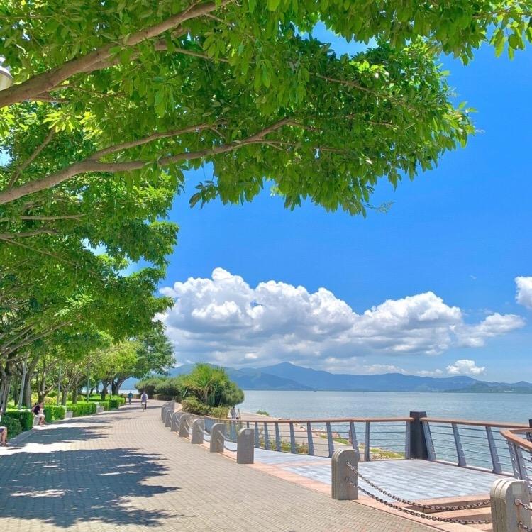 阿校