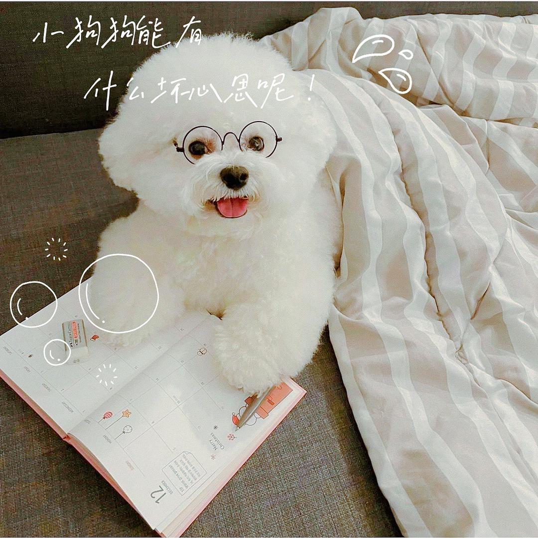 暖暖SMILE🎀