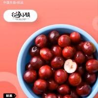 抚远蔓越莓红海小镇企业店