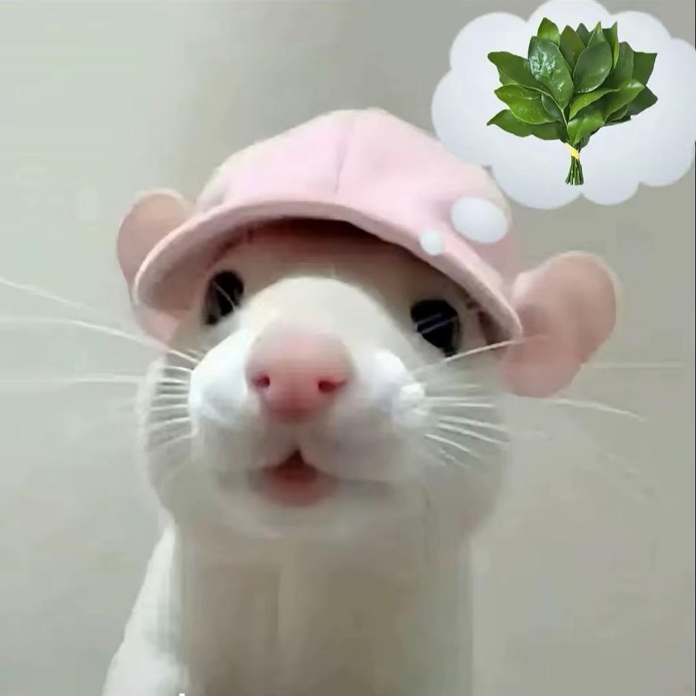 哦哦哦哦哦哦哦哦