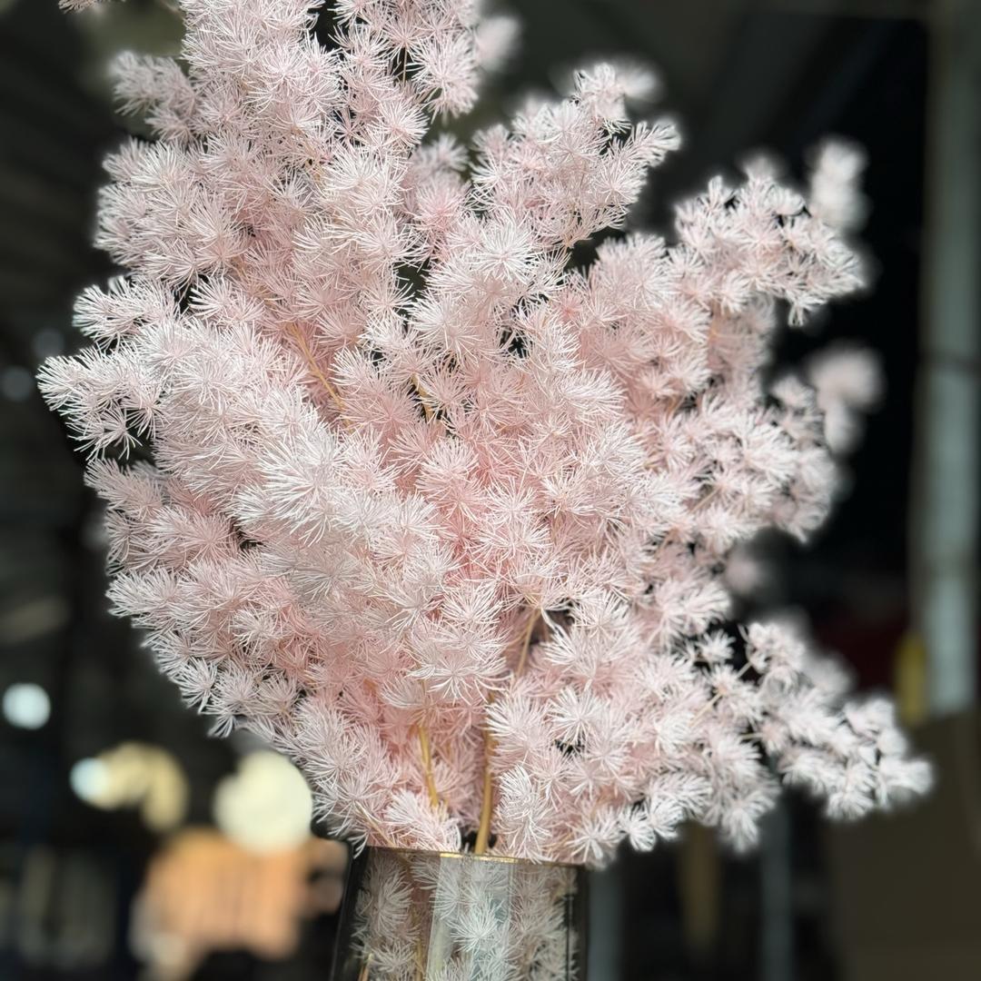 晋宁玉蝶永生花工厂臻选店1