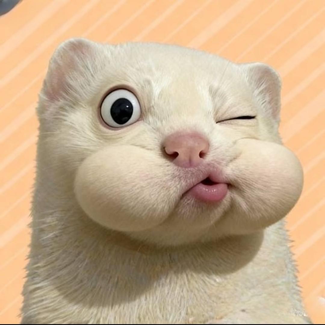 不 悔