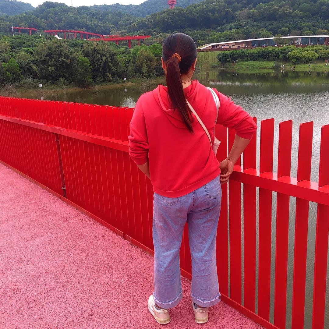 @海鸥