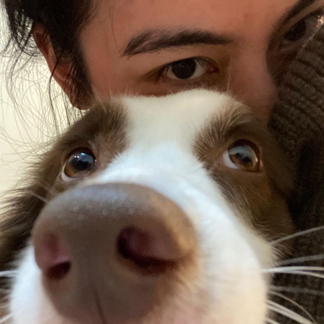王缘圈
