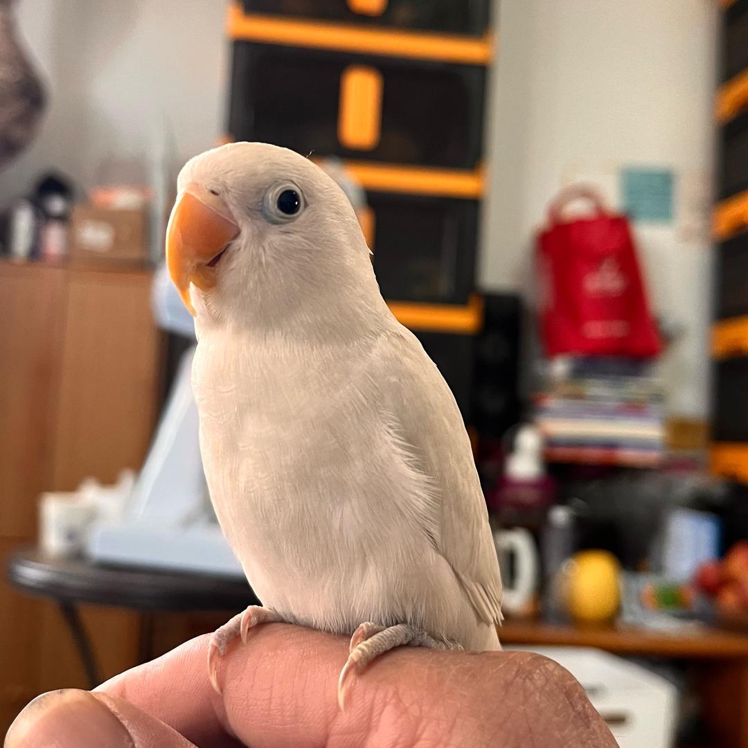 我与春风皆过客