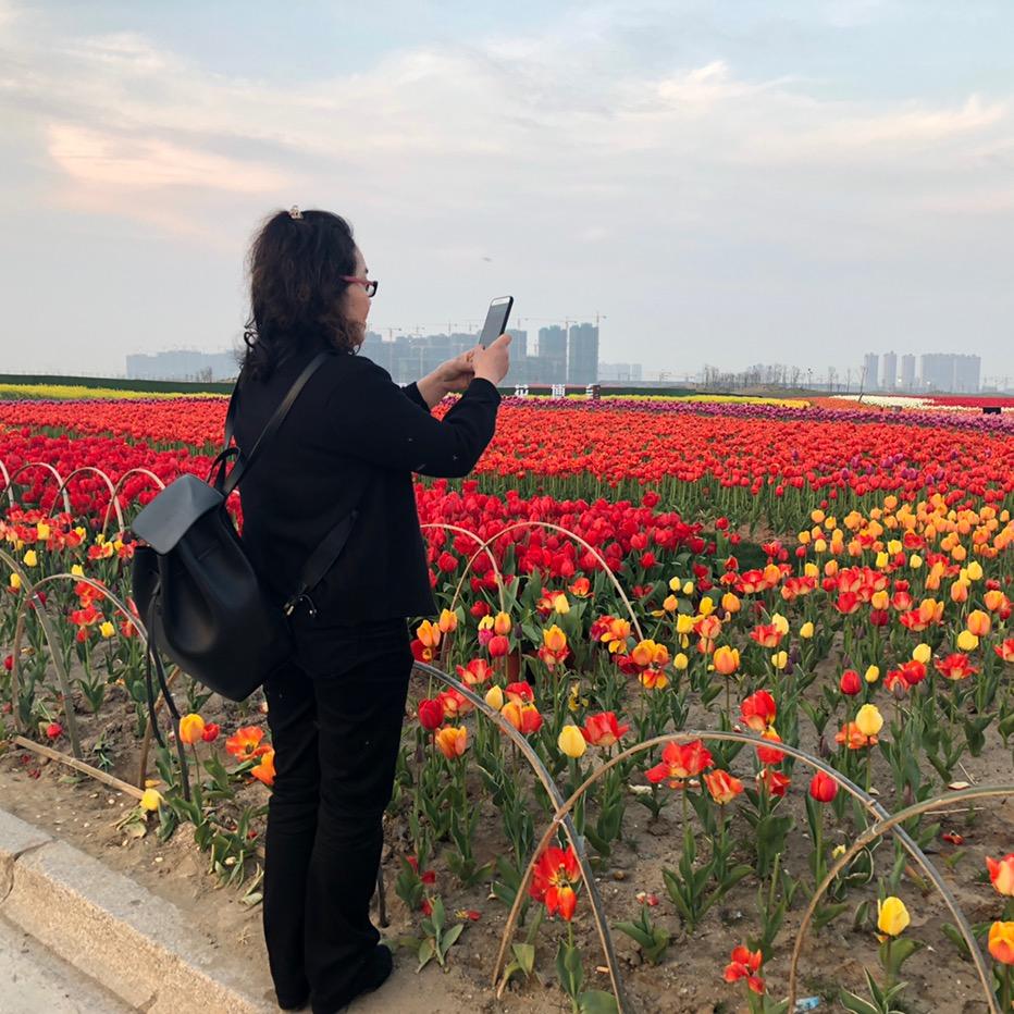 @丁丁