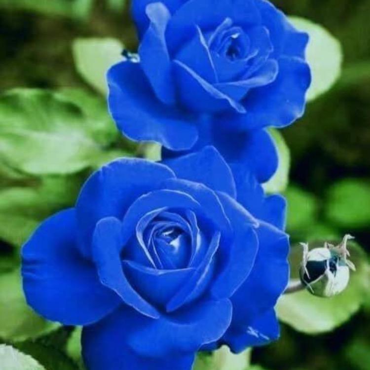 红红姐好物推荐