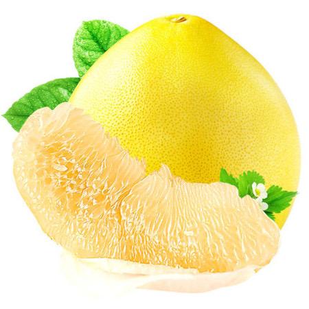 答辩爱蛋蛋