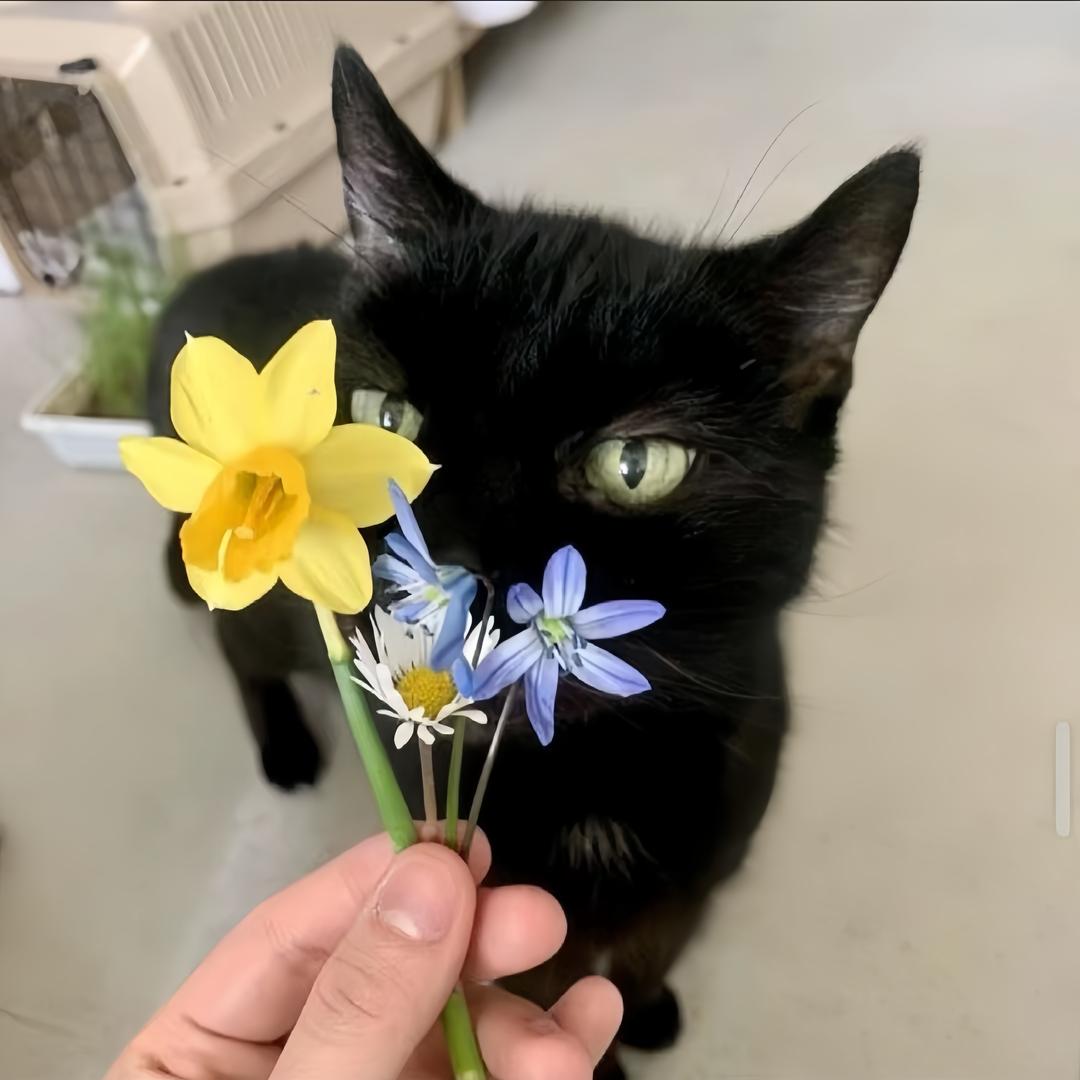 一只瓜（12.20🎂）