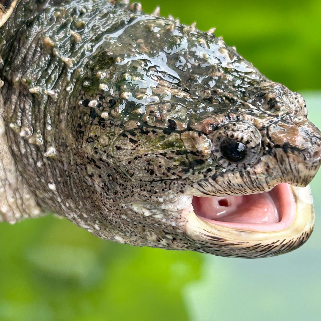 llıllı今̤̮᷃年̤̮᷃必ཻ͙发ེ༙