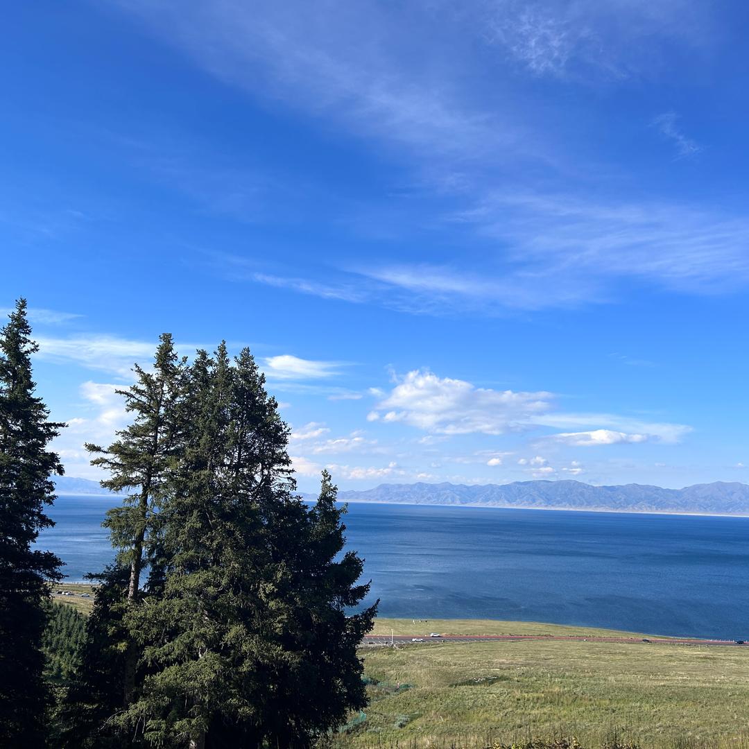 竹杖芒鞋轻胜马