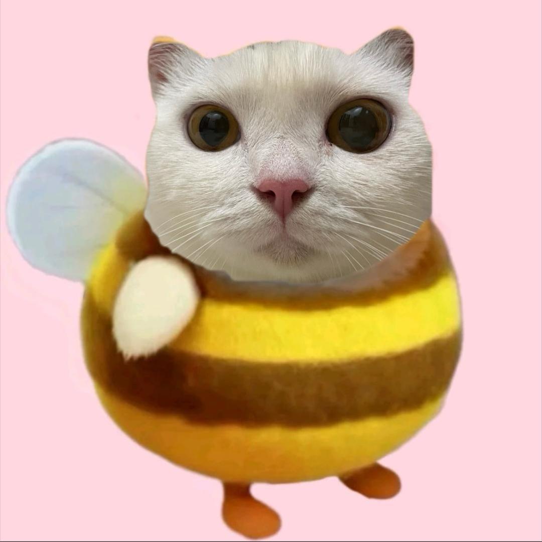 校草可可