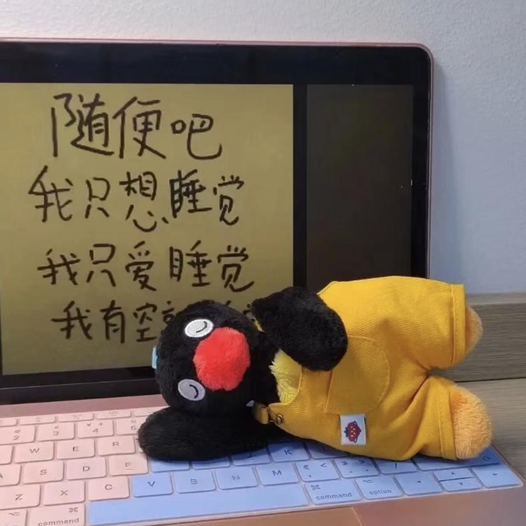 摆烂的咸鱼
