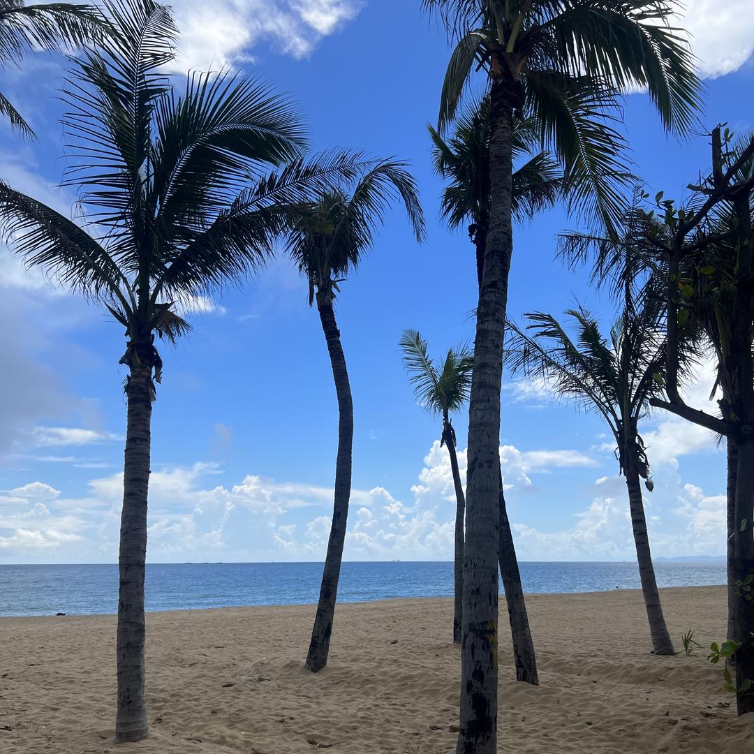 润泽绿色生态农铺