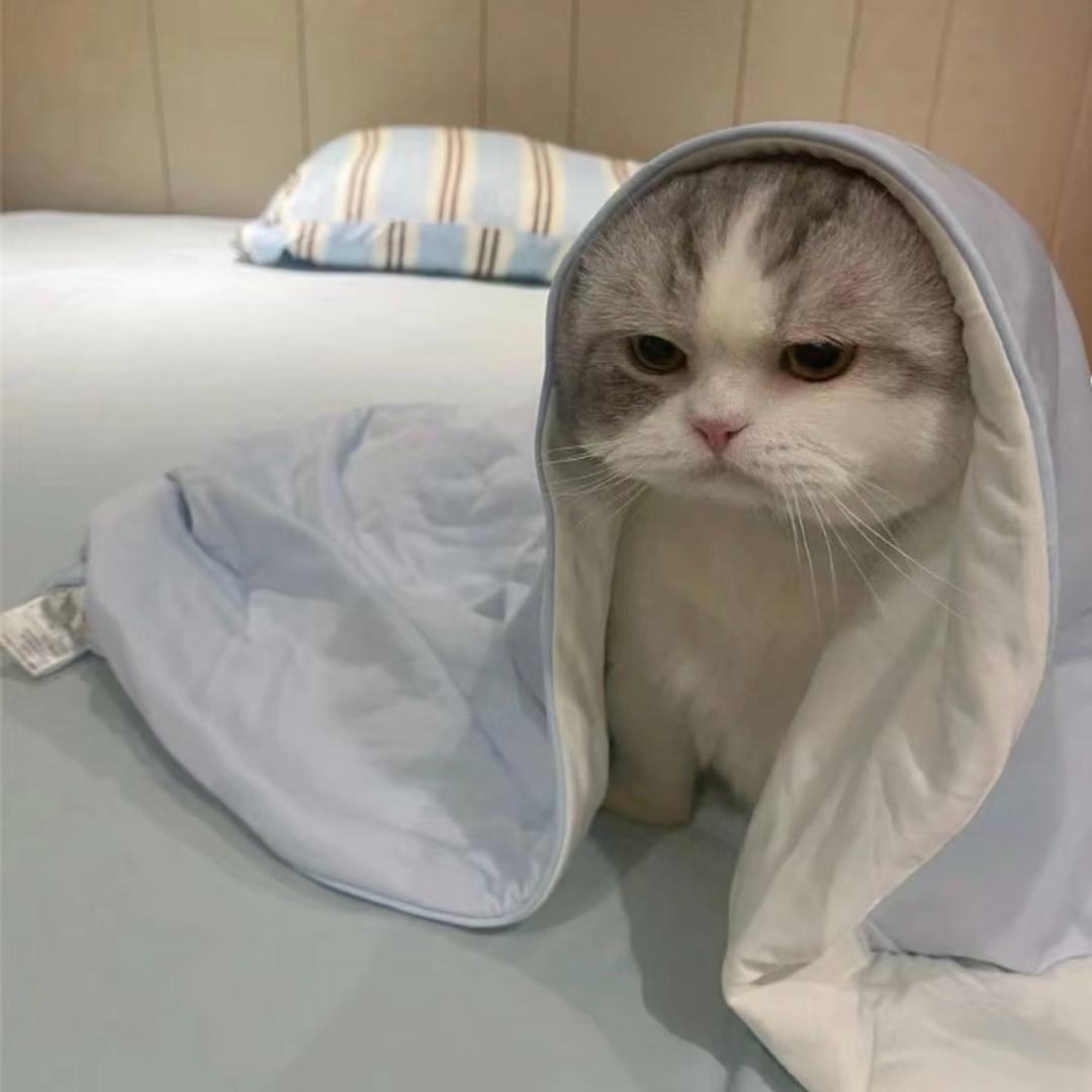 9264/