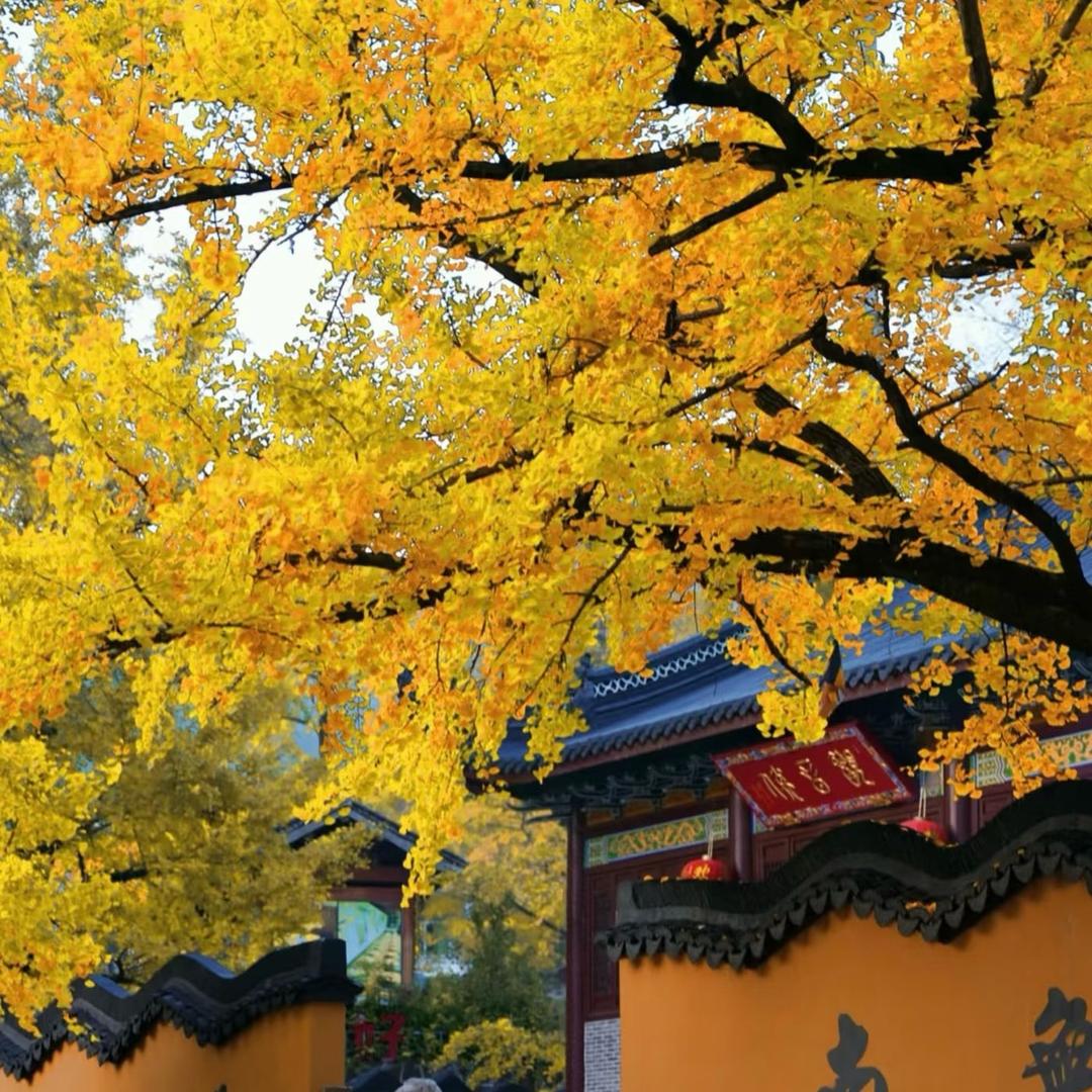 明丽塑业小马