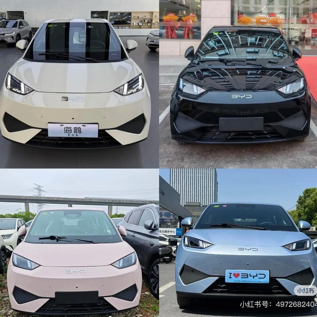 比亚迪海鸥～陆陆