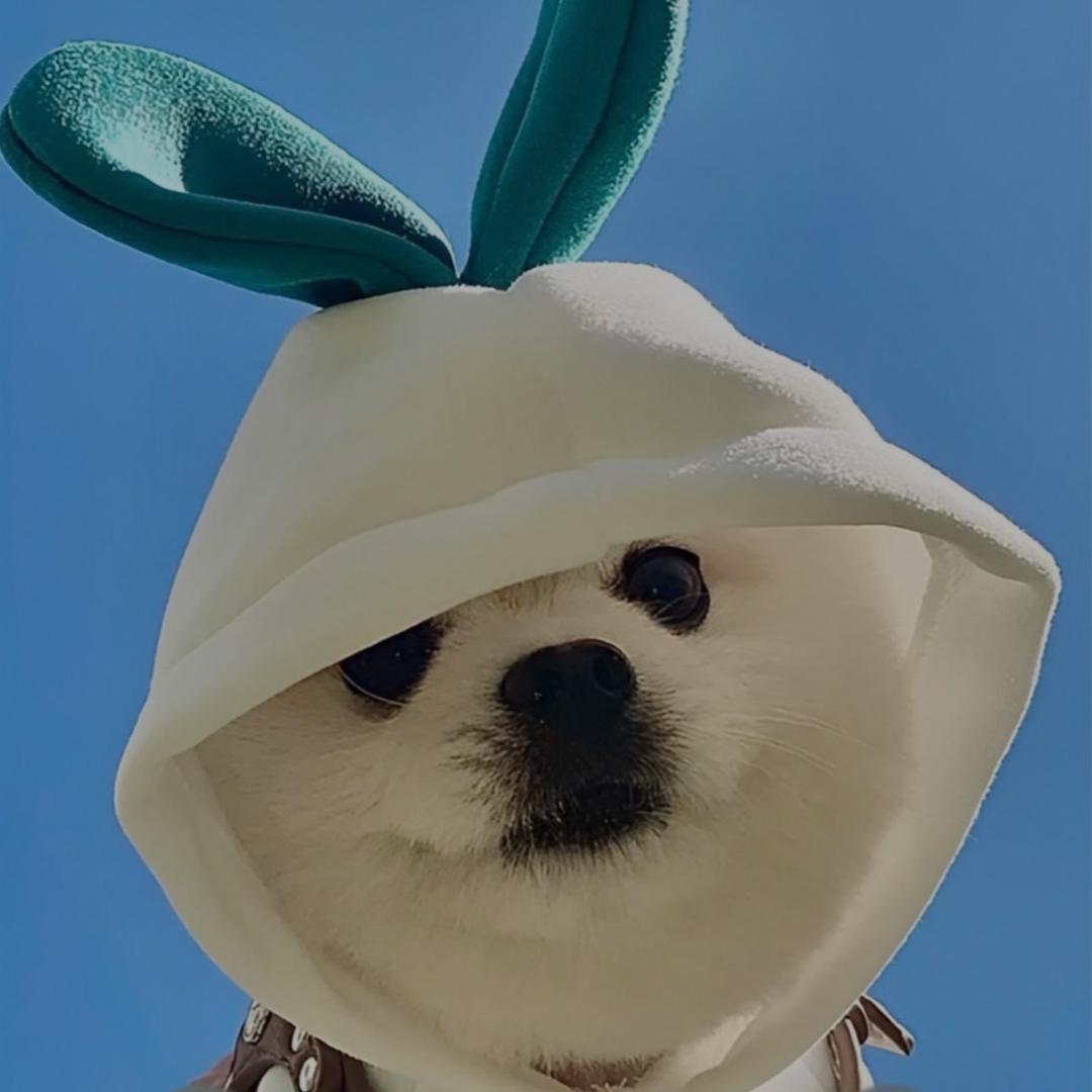敲了个敲头像
