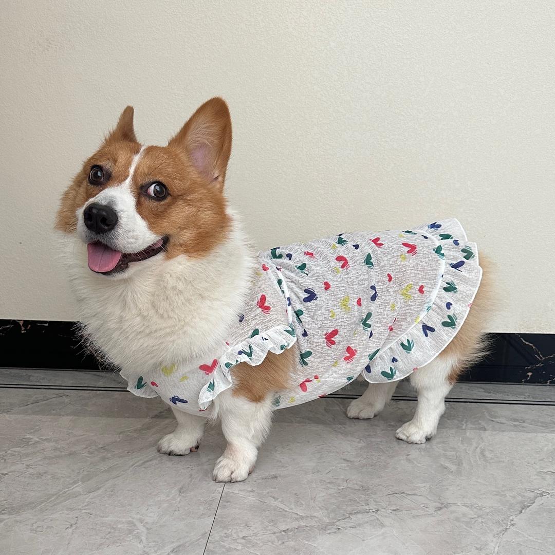 嘟嘟的杂货铺