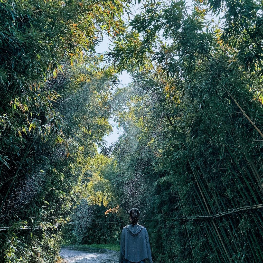 正好的时光