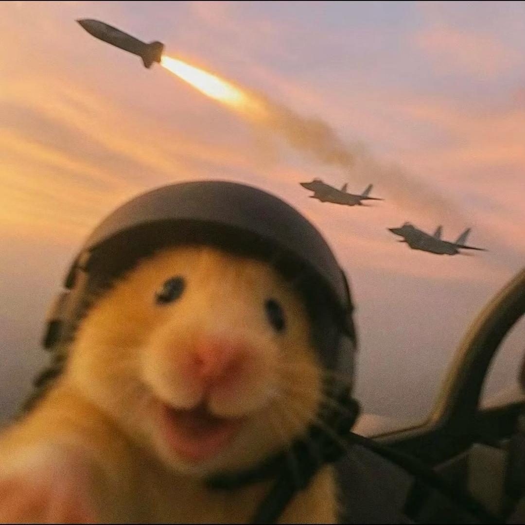 王林i（接33x接打代币）