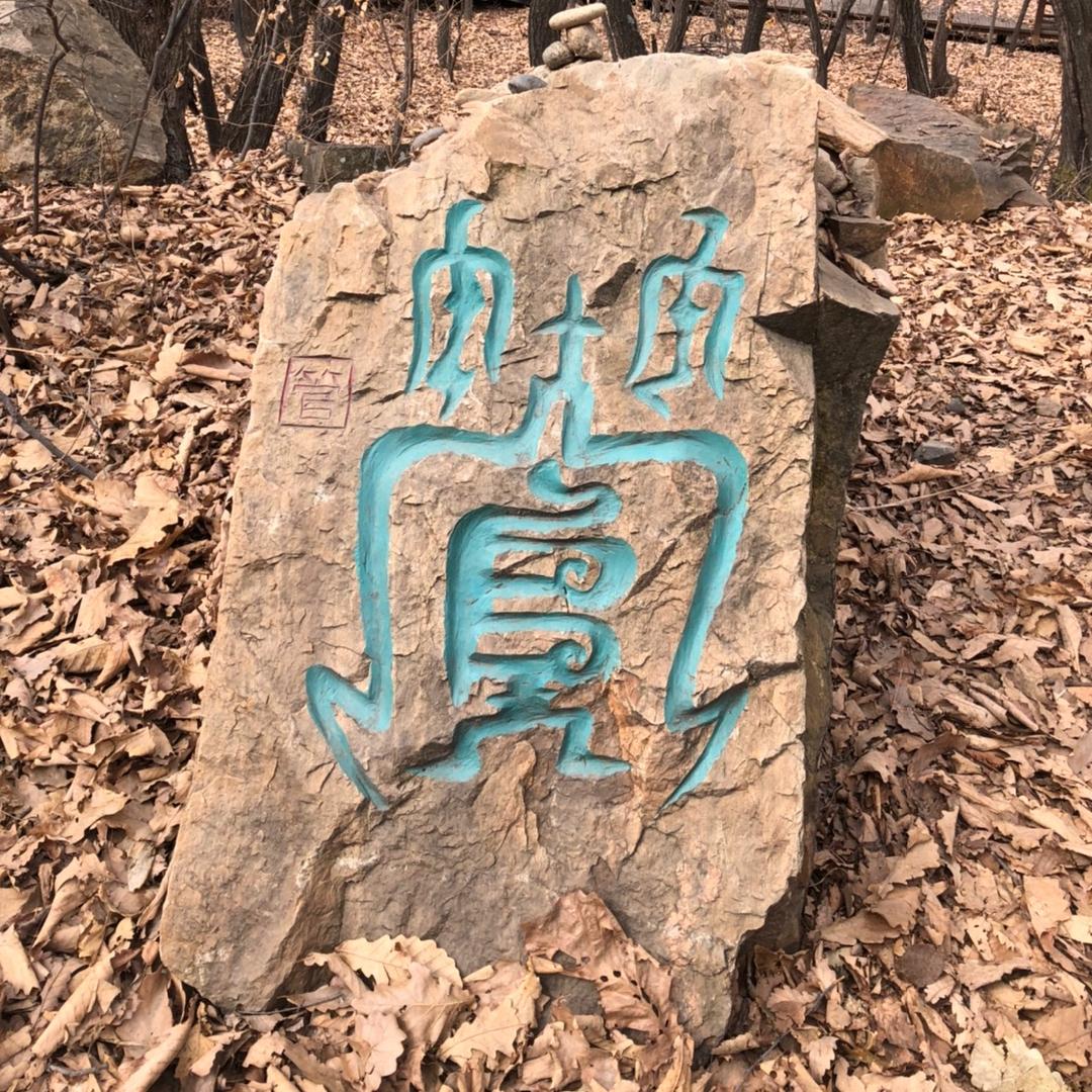 小丽丽哟¹¹⁸