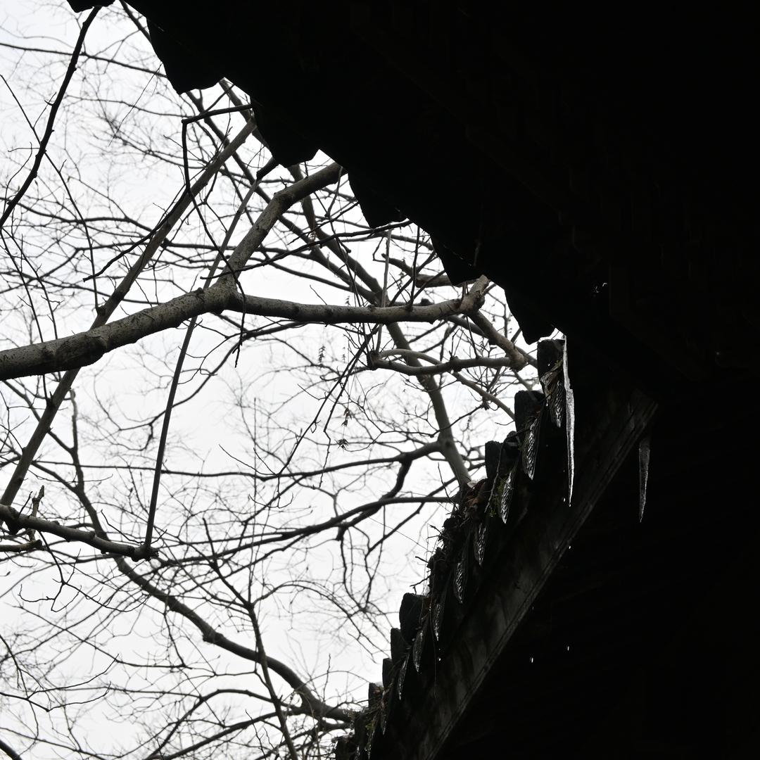 更上一层楼