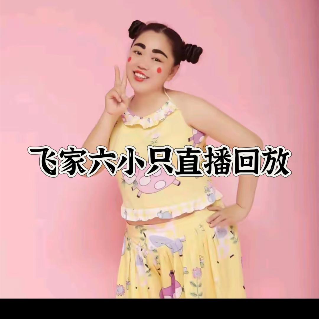 飞家直播回放（六小只）